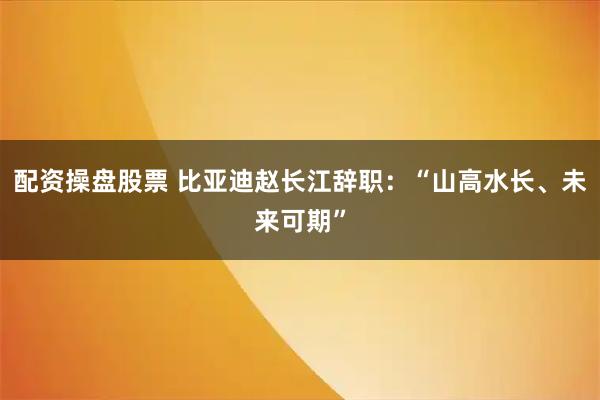 配资操盘股票 比亚迪赵长江辞职：“山高水长、未来可期”