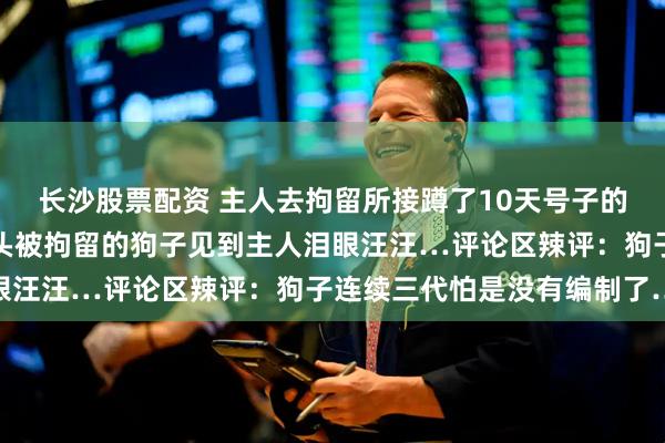 长沙股票配资 主人去拘留所接蹲了10天号子的自家狗子，因为误咬老头被拘留的狗子见到主人泪眼汪汪…评论区辣评：狗子连续三代怕是没有编制了…