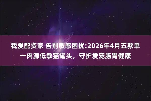 我爱配资家 告别敏感困扰:2026年4月五款单一肉源低敏猫罐头，守护爱宠肠胃健康